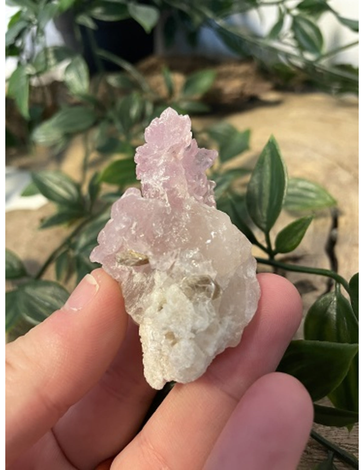 Roze kwarts Livinalli nr.9