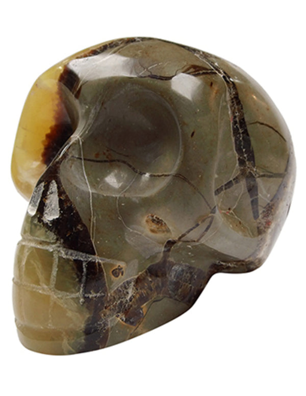 Septarie edelsteen schedel 14 cm