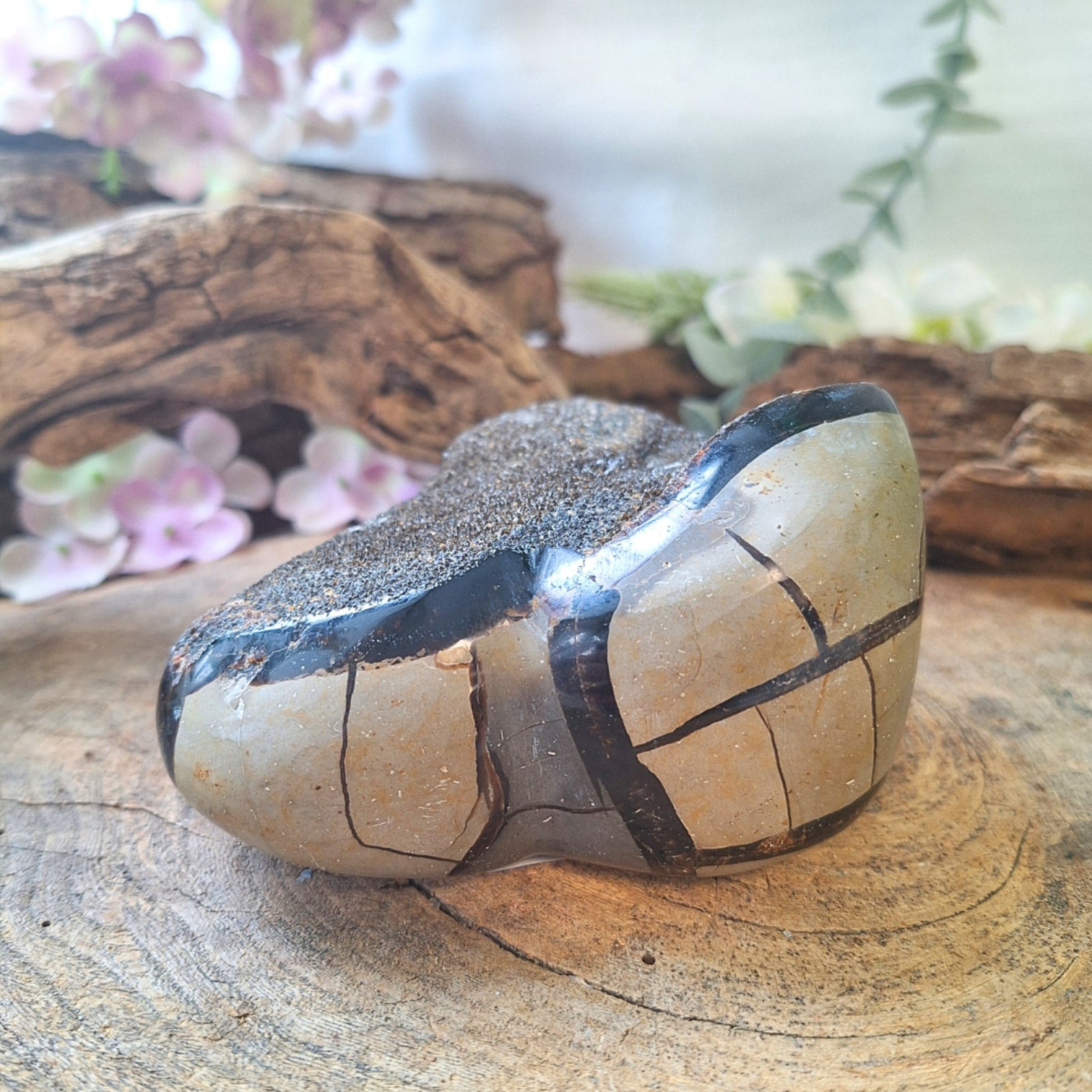 Septarie wild hart nr.06