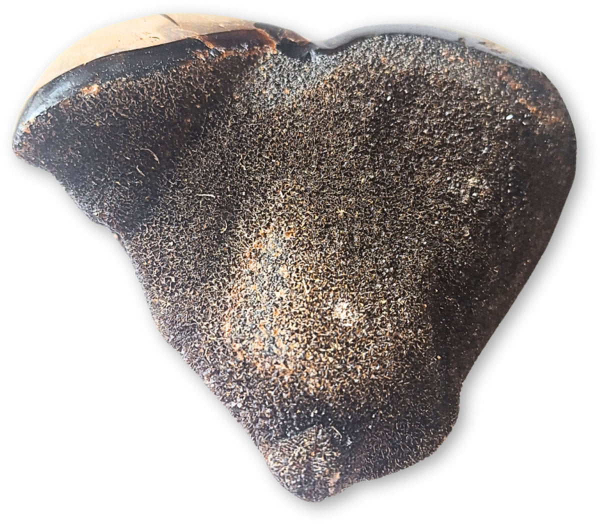 Septarie wild hart nr.06
