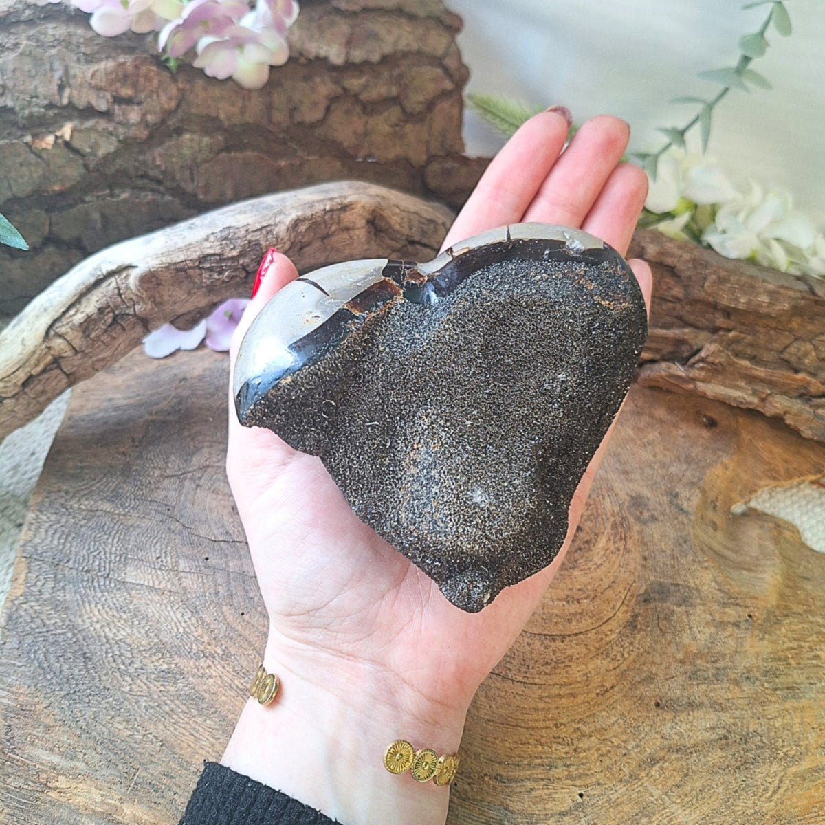 Septarie wild hart nr.06