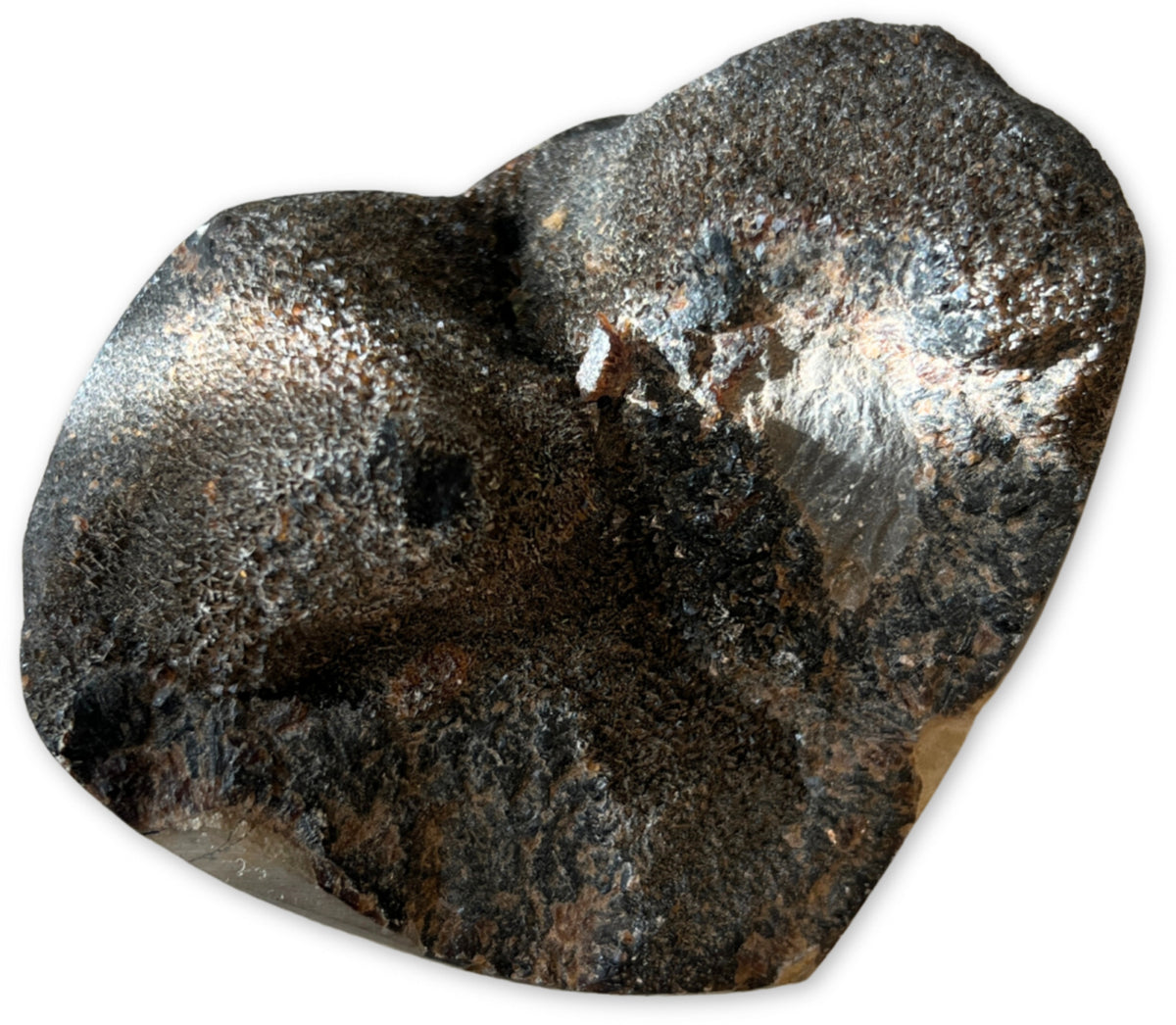 Septarie wild hart nr.07