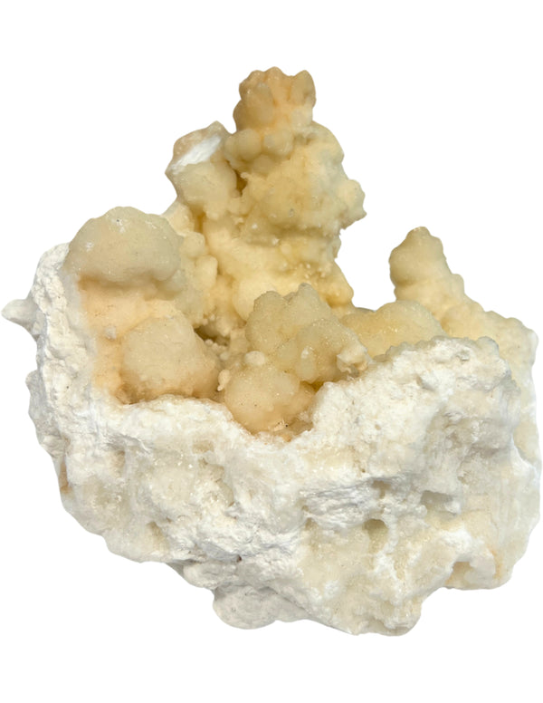 Stalactiet met Aragoniet kristallisaties ruwe edelsteen nr.38