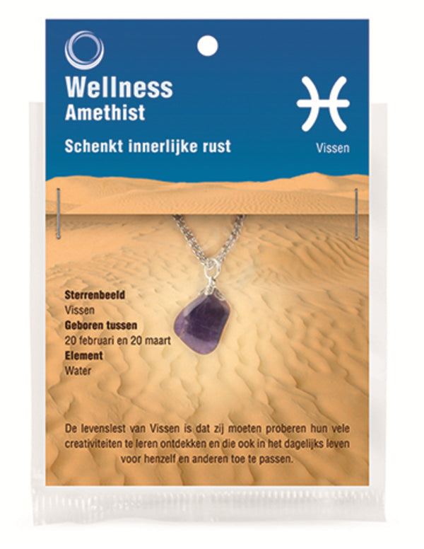 Amethist sterrenbeeld hanger Vissen