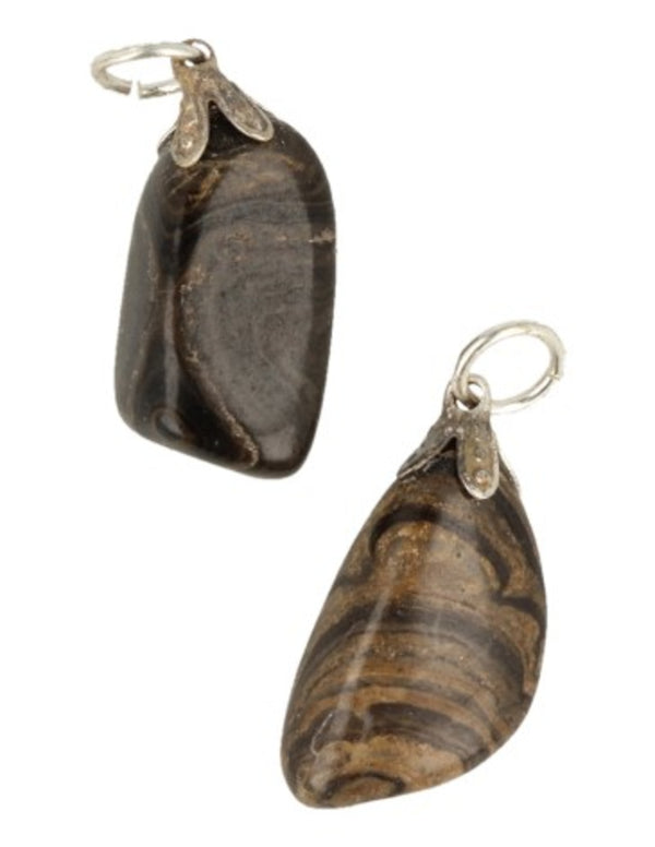 Stromatoliet edelsteen hanger