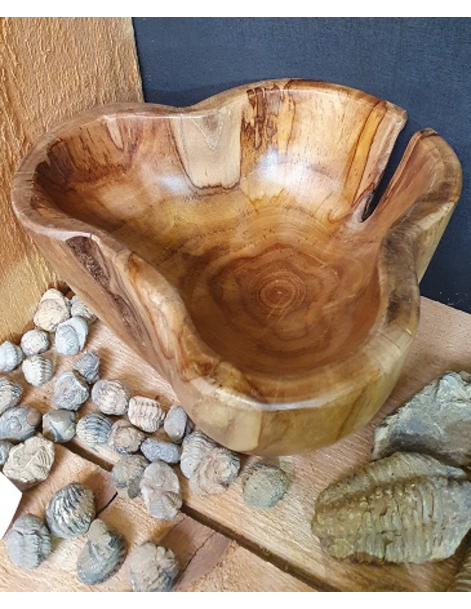Teakhout schaal ca. 25x15 cm