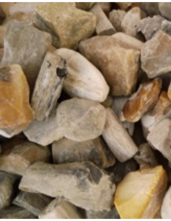 Versteend hout ruwe brokjes 250 gram