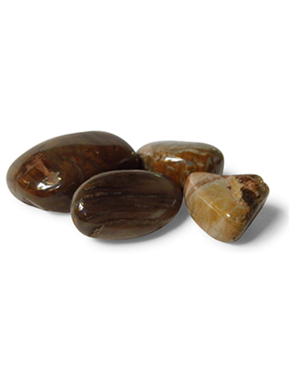 Versteend hout 50 gr. edelsteen trommelstenen (mt3)