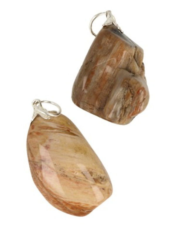 Versteend hout edelsteen hanger