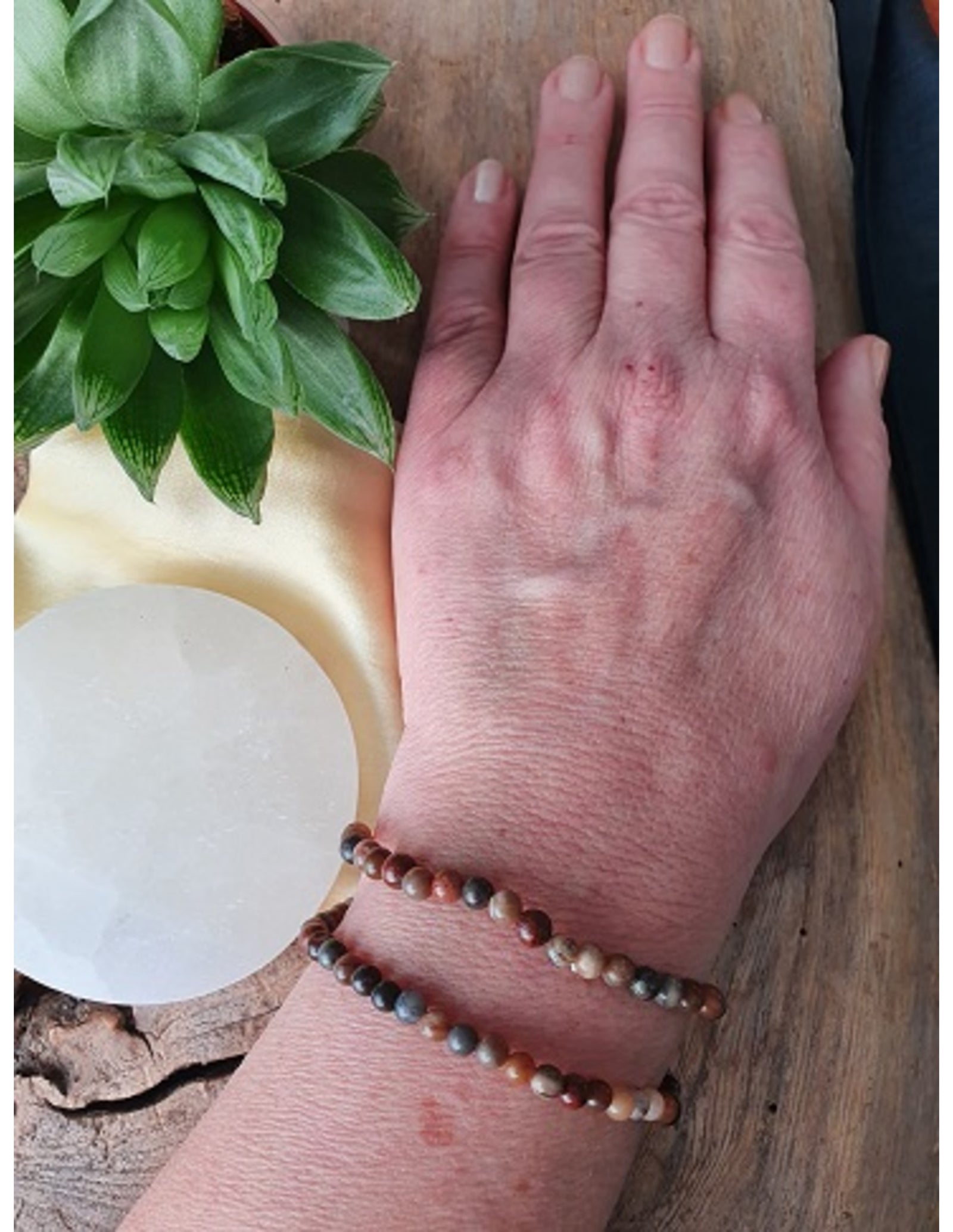 Versteend hout kralenarmband 4 mm