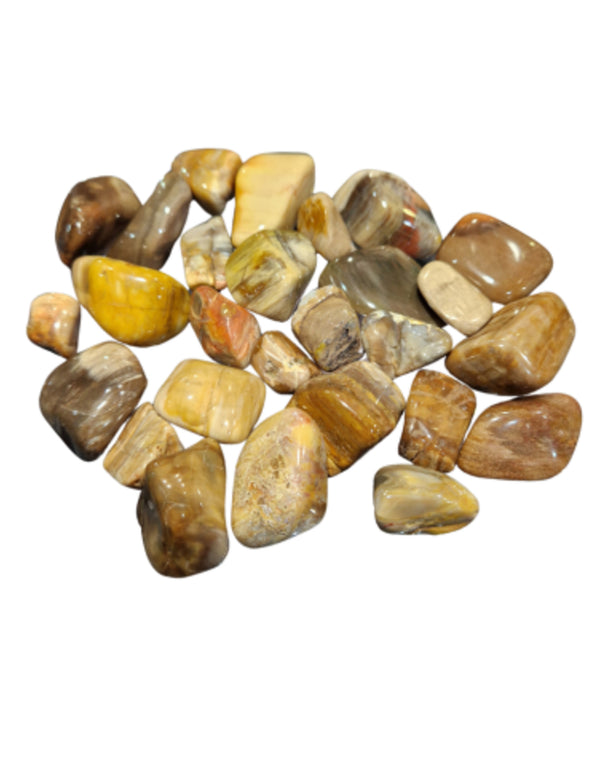 Versteend hout edelsteen trommelstenen 250 gr. (mt3)