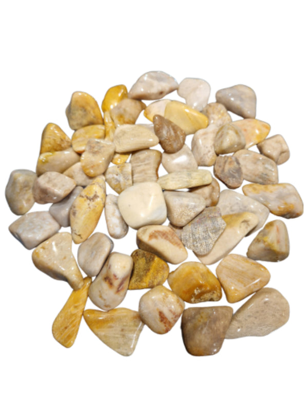 Versteend hout edelsteen trommelstenen 500 gr. (mt3)