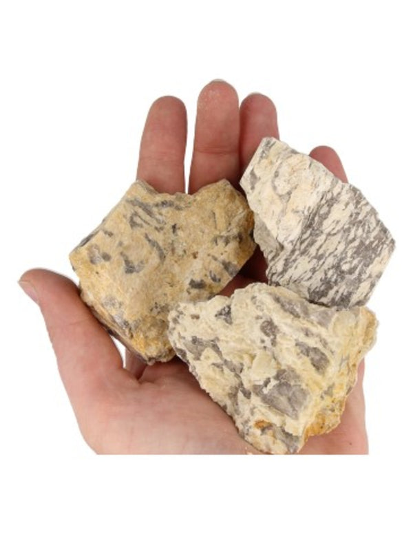 Zebradoriet ruwe edelsteen 120-160 gr.