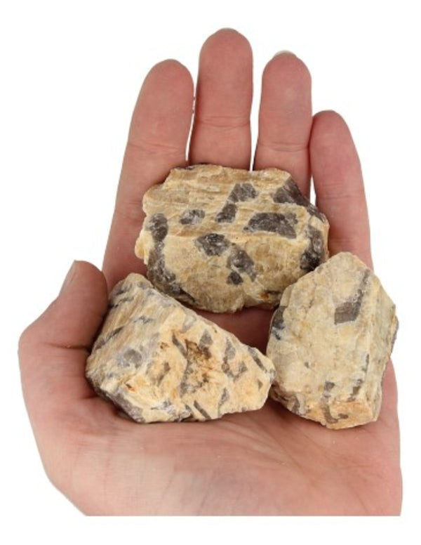 Zebradoriet ruwe edelsteen 50-80 gr.