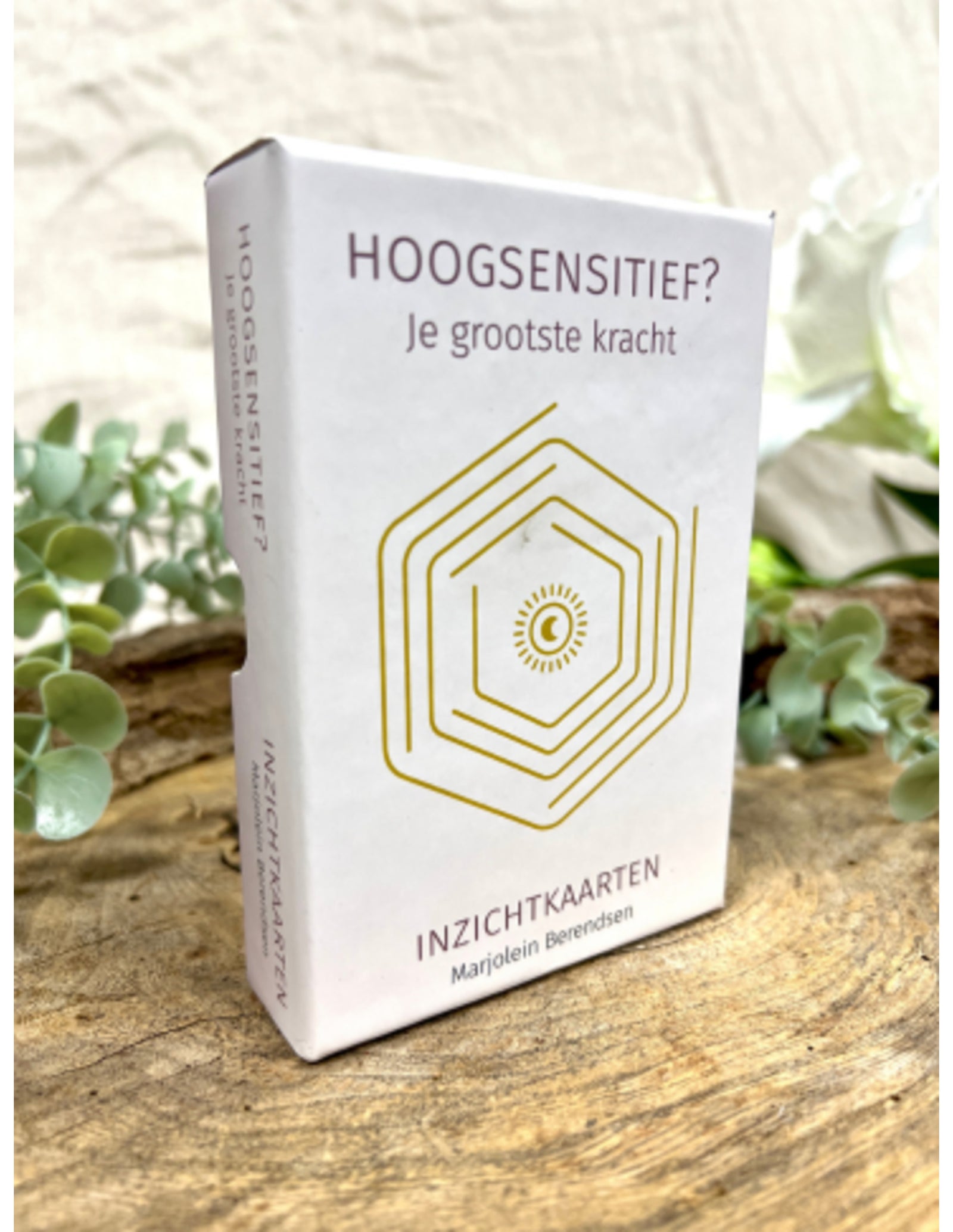 Zoma HSP inzichtkaarten