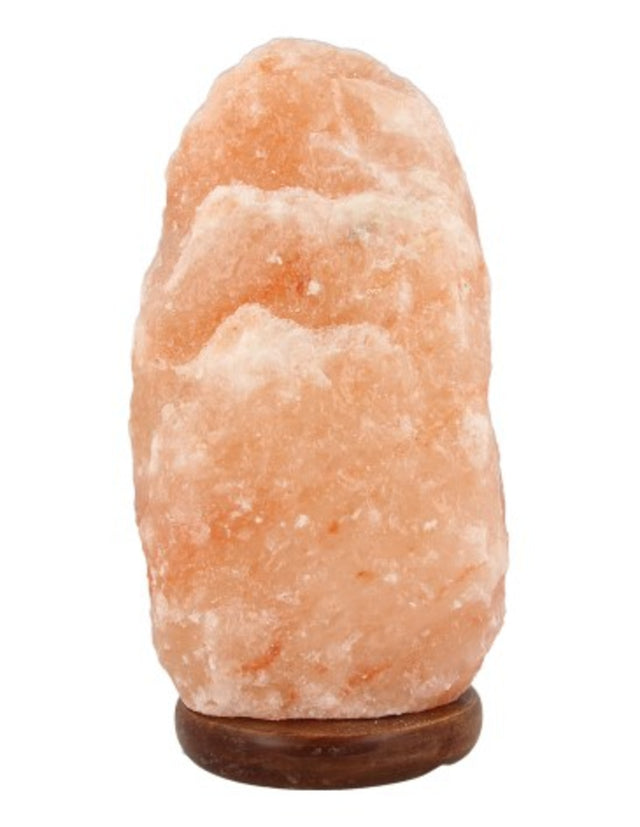 Zoutsteen